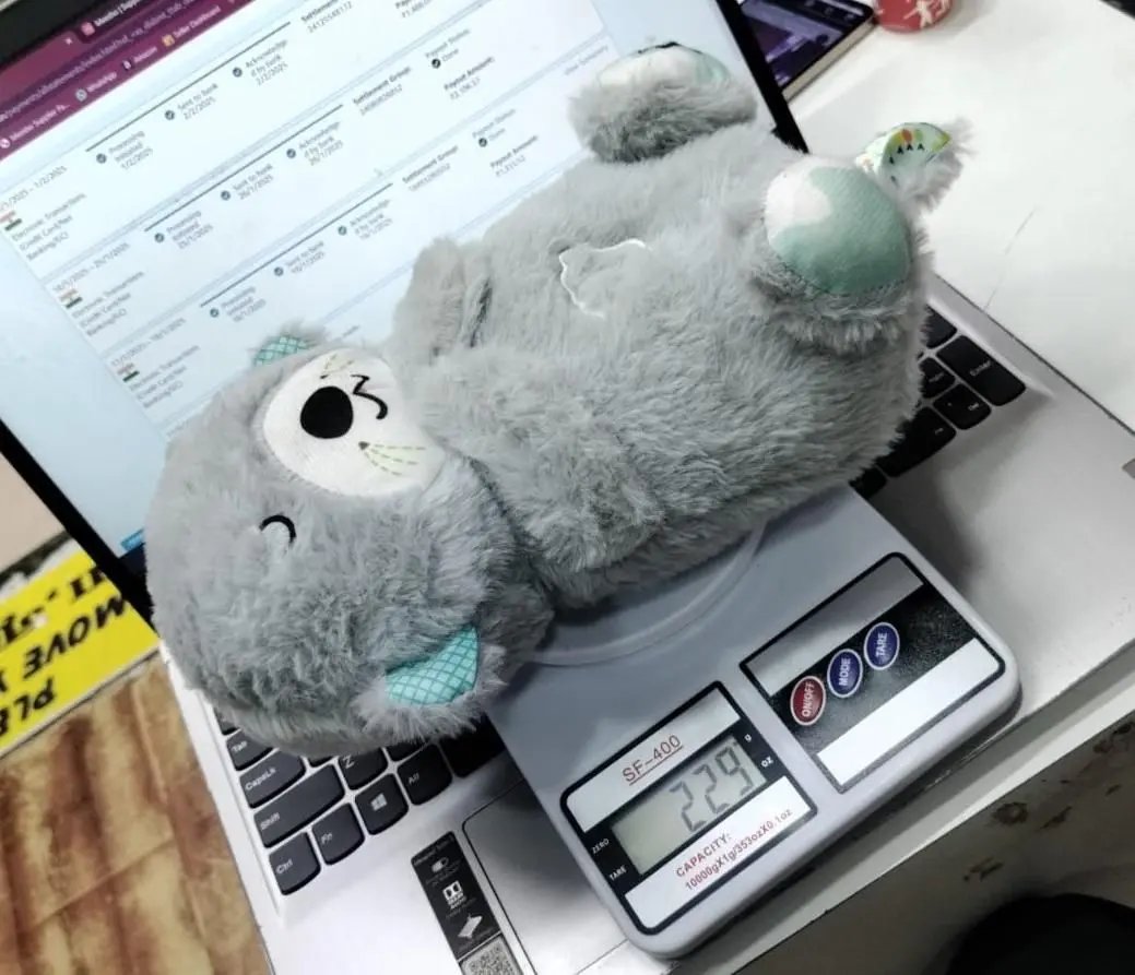 Breathing Teddy Bear with Soothing Music, Comfort Plush - Loopni